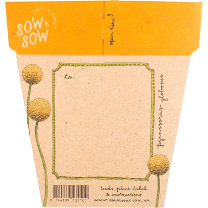 Sow 'n Sow- Gift of Seeds Billy Buttons