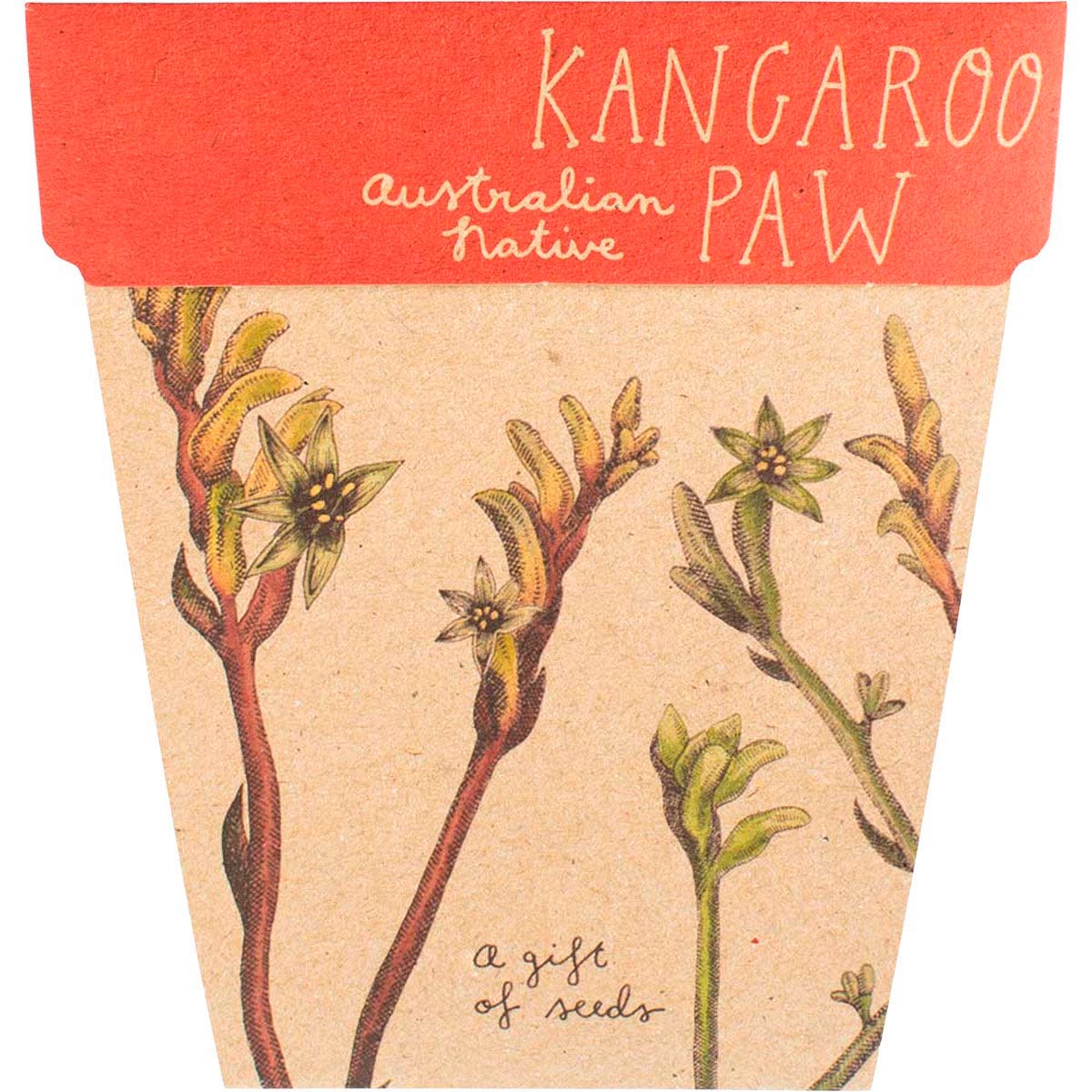 Sow 'n Sow- Gift of Seeds Kangaroo Paw