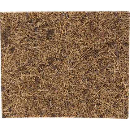 Ecococonut- Scourer Scrub Pad-2pk