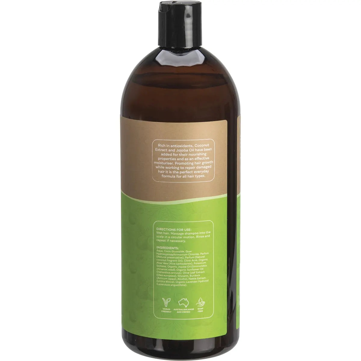 Biologika- Conditioner Everyday Coconut-1L
