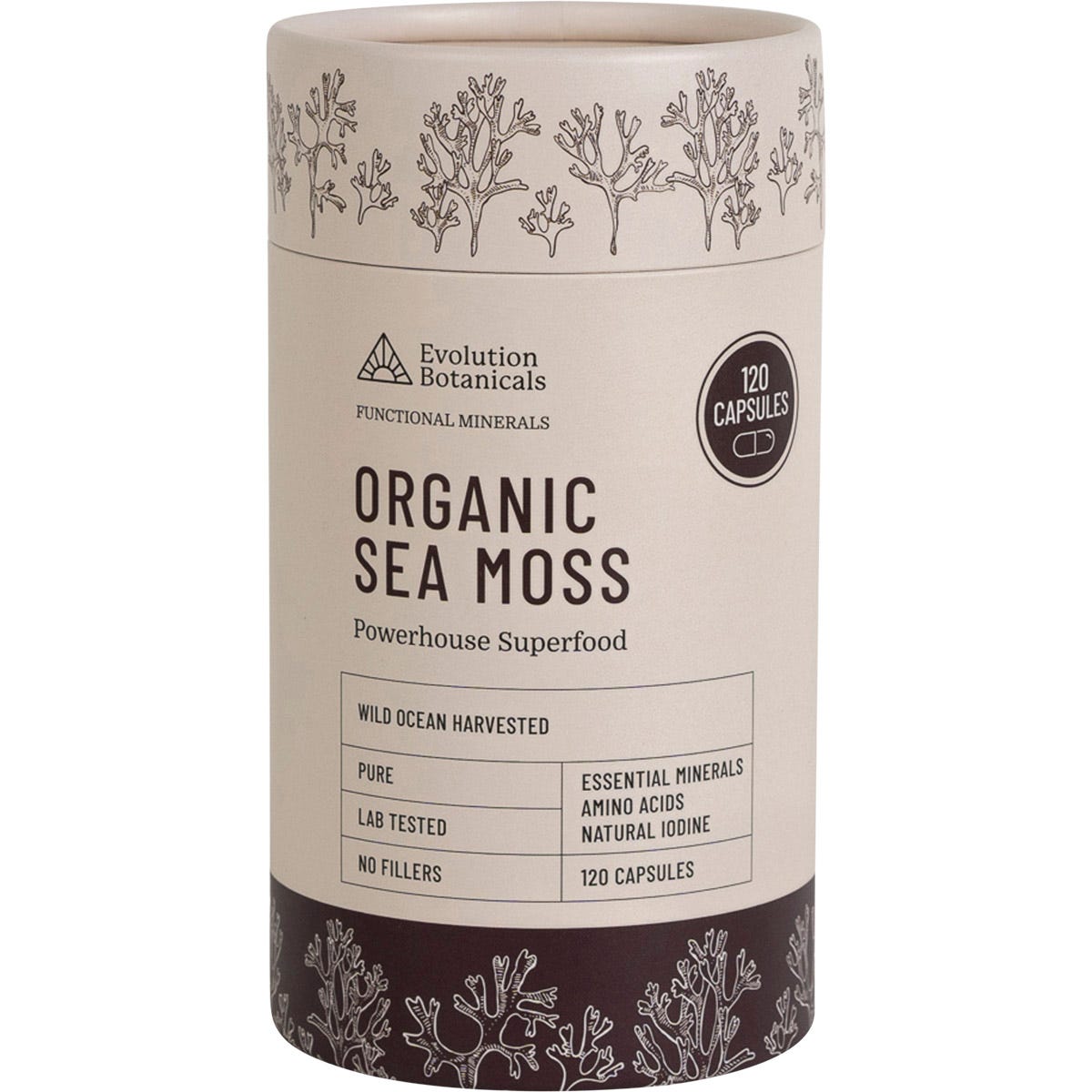 Evolution Botanicals- Organic Sea Moss-120 Caps