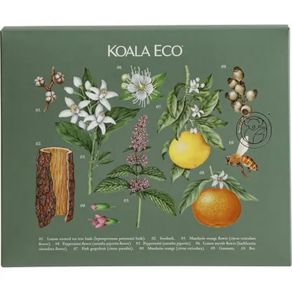 Koala Eco- Gift Pack Hand Wash, Laundry Wash & Dish Soap-3pk