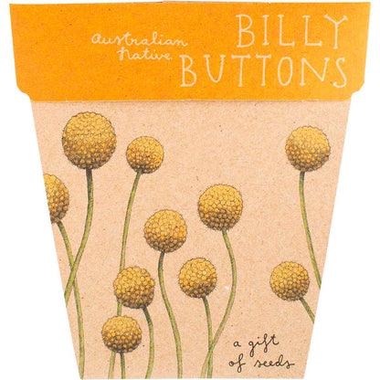 Sow 'n Sow- Gift of Seeds Billy Buttons