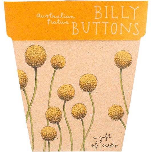 Sow 'n Sow- Gift of Seeds Billy Buttons