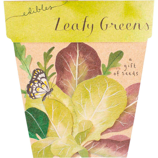 Sow 'n Sow- Gift of Seeds Leafy Greens