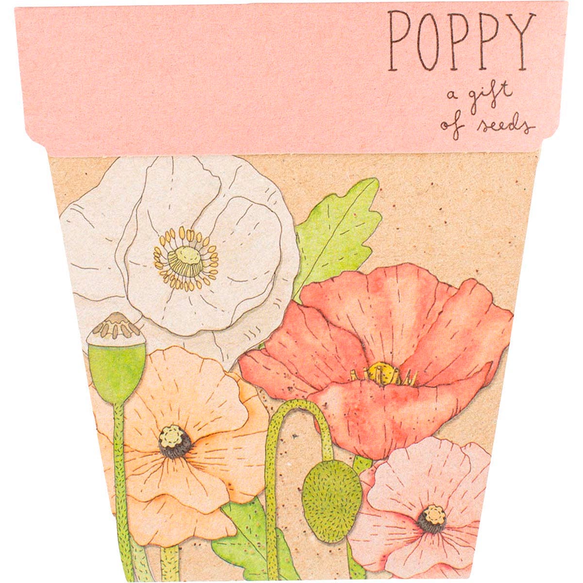 Sow 'n Sow- Gift of Seeds Poppy