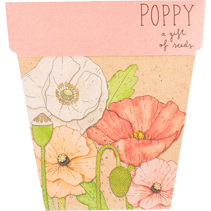 Sow 'n Sow- Gift of Seeds Poppy