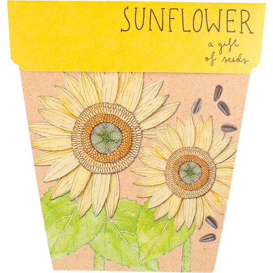 Sow 'n Sow- Gift of Seeds Sunflower