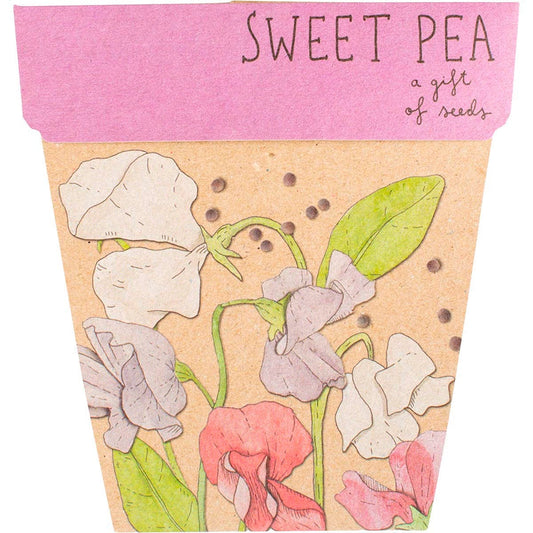 Sow 'n Sow- Gift of Seeds Sweet Pea