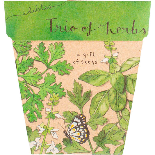 Sow 'n Sow- Gift of Seeds Trio of Herbs