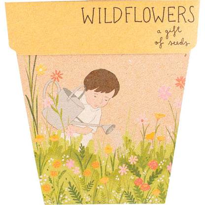 Sow 'n Sow- Gift of Seeds Wildflowers