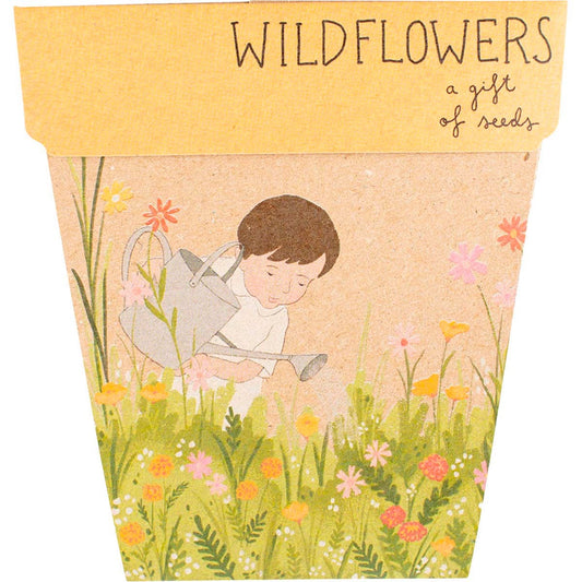 Sow 'n Sow- Gift of Seeds Wildflowers