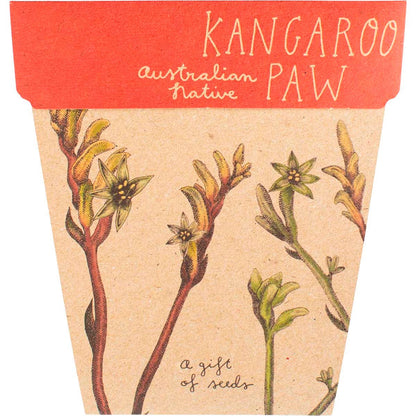 Sow 'n Sow- Gift of Seeds Kangaroo Paw