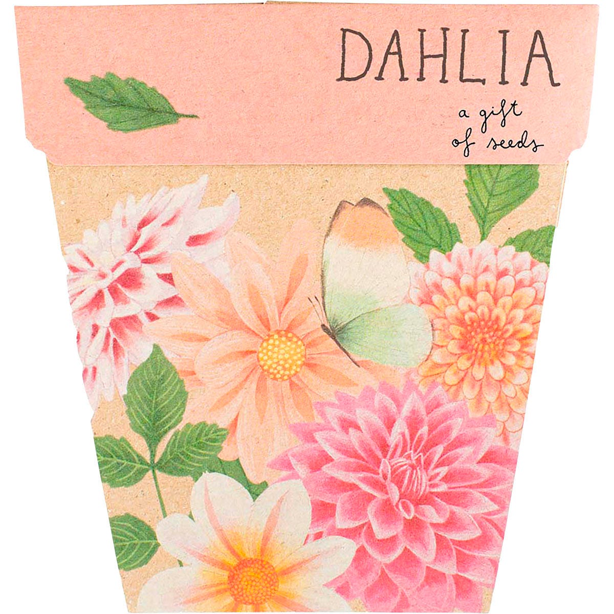 Sow 'n Sow- Gift of Seeds Dahlia