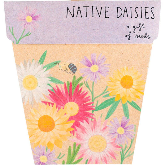 Sow 'n Sow- Gift of Seeds Daisies Native