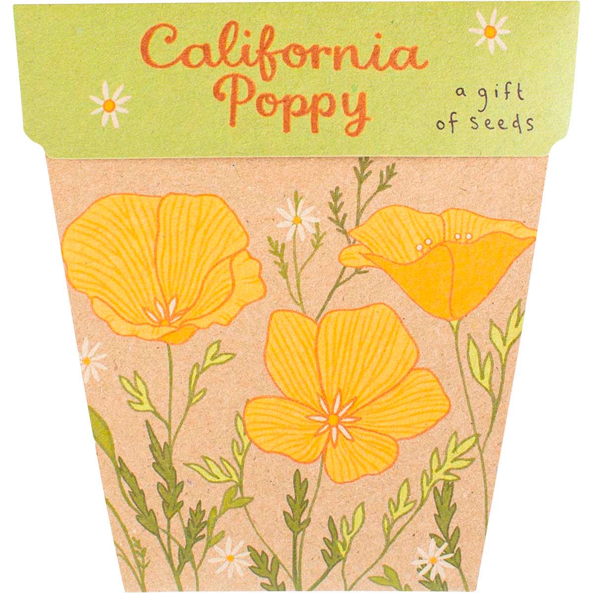 Sow 'n Sow- Gift of Seeds California Poppy