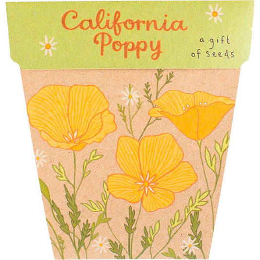 Sow 'n Sow- Gift of Seeds California Poppy