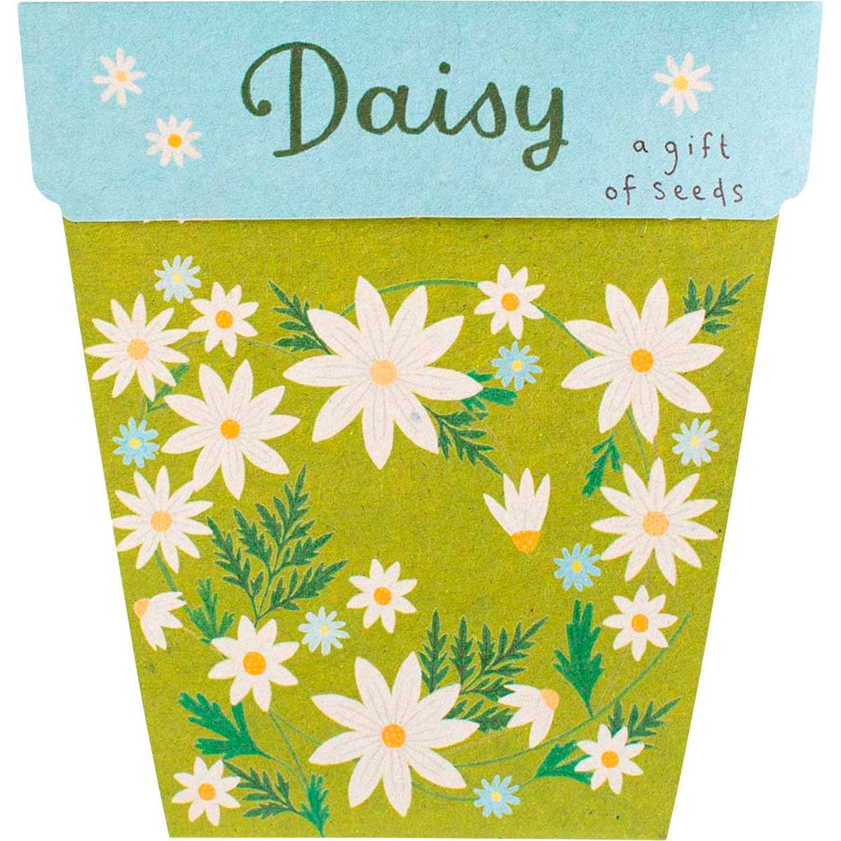 Sow 'n Sow- Gift of Seeds Daisy