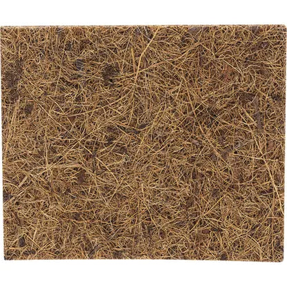 Ecococonut- Scourer Scrub Pad-2pk
