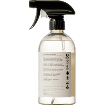 Koala Eco- Stainless Steel Cleaner Peppermint-500ml